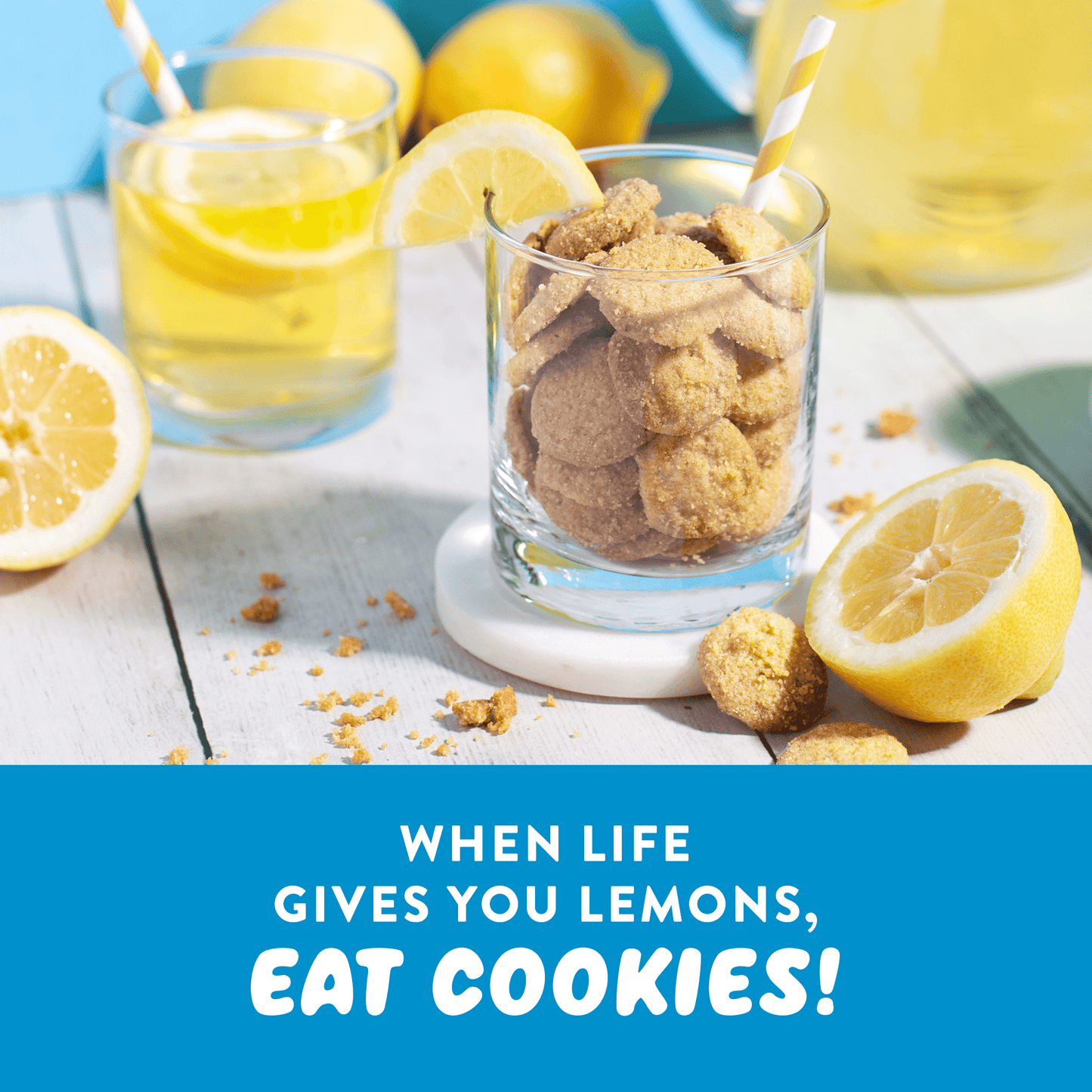 Mini Cookies: Lemon (3 Pack - 2 oz bags)