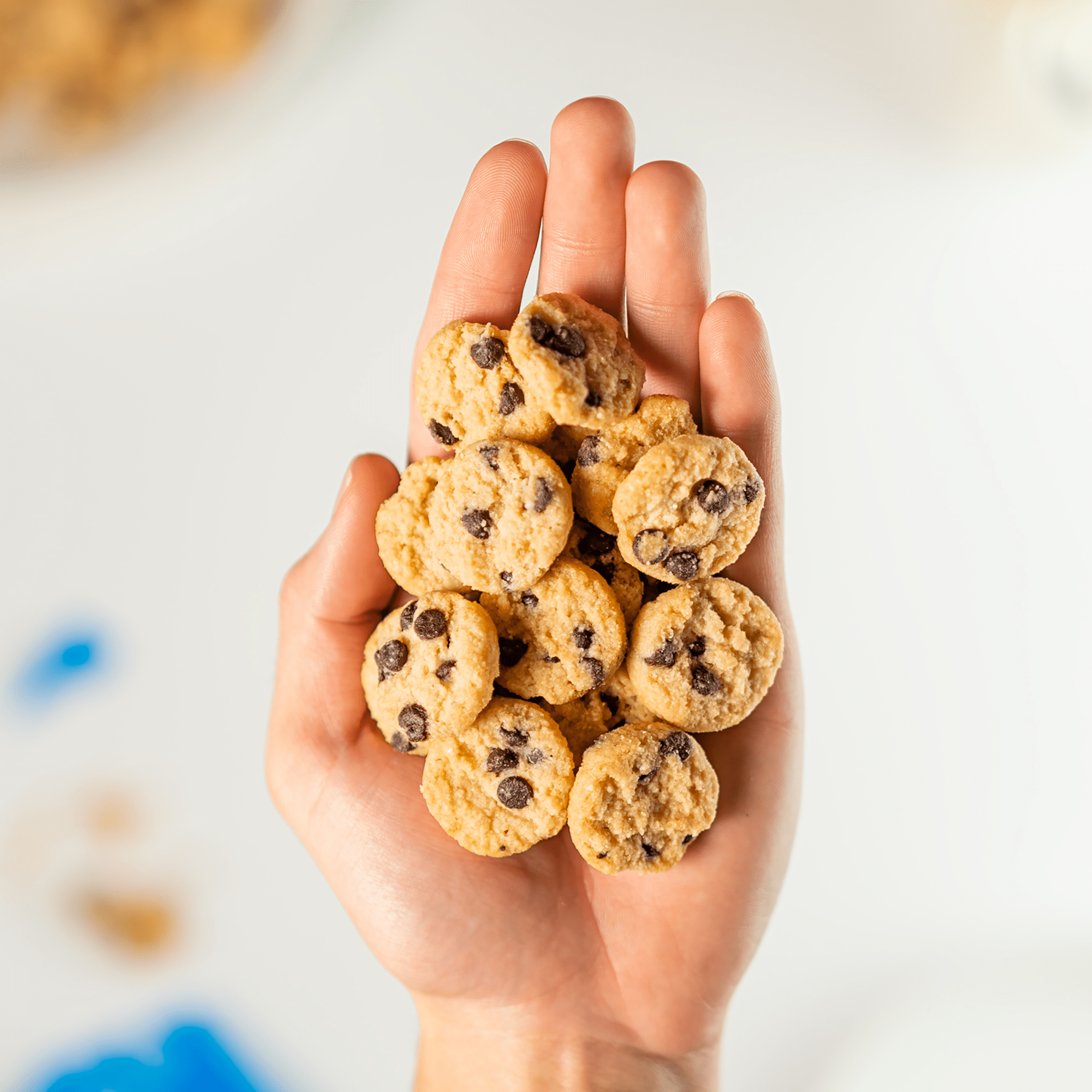 Mini Cookies: Chocolate Chip 6pack